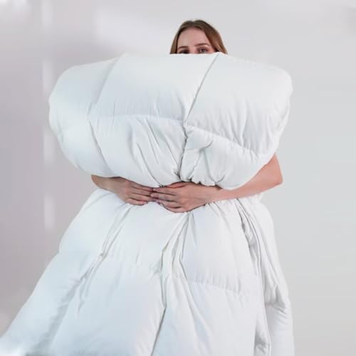 DOWNCOOL Queen Duvet Insert - Lightweight All-Season Down Alternative Comforter