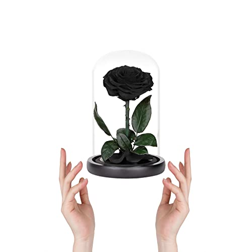 Preserved Black Rose in Glass Dome with Wooden Base - Handmade Gift