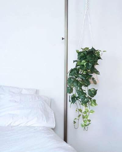 32-Inch Artificial Pothos Ivy Plant with Minimalist Pot, Variegated Silk