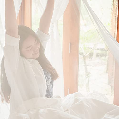 4-Corner Canopy Mosquito Net for Bed - Ultra-Fine Mesh Bug Netting (White)