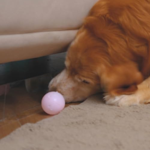 Clear Under Couch Toy Blocker for Furniture - Pet & Toy Guard for Hard Floors
