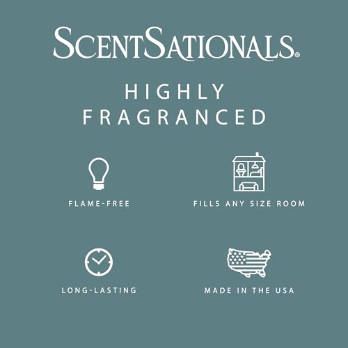 Scentsationals Eucalyptus Snow Scented Wax Melts - 10oz Winter Fragrance Cubes