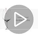 Trump Wine Aerator Pourer - Stainless Steel Decanter Spout for Red & White Wine - Chris's Stuff