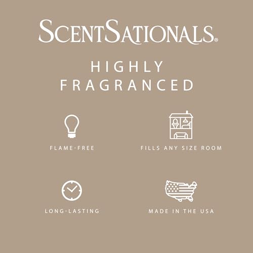 Scented Wax Melts Variety Pack - 24 Long-Lasting Cubes for Wax Warmers