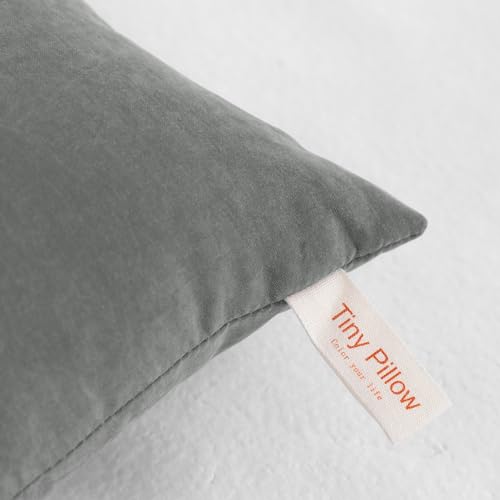 Mini Microfiber Pillows - Set of 2, 7" x 11", Dark Grey for Travel & Support