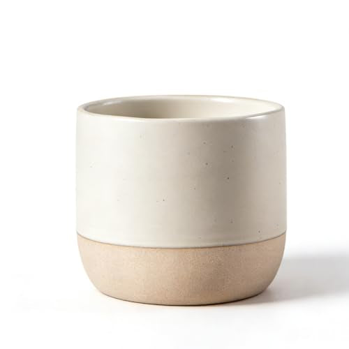 Japanese Ceramic Mug 8oz No Handle Tea Cup - Vintage, Rustic, Microwave & Dishwasher Safe
