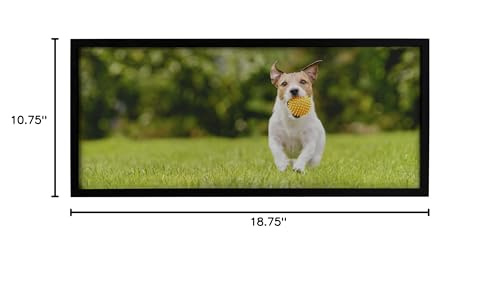 Neil Enterprises Inc. Black Panoramic 24" x 10" Picture Frame