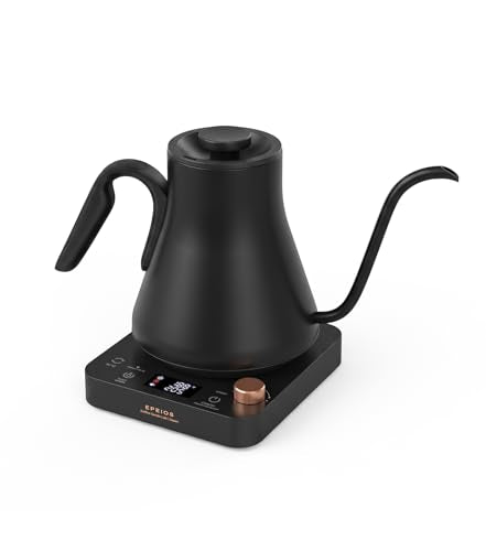Electric Gooseneck Kettle with Precise Temperature Control, 0.9L Stainless Steel