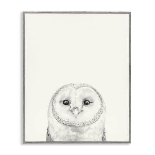 Owl Wall Art Framed Canvas - Grey Bird Portrait for Living Room Decor