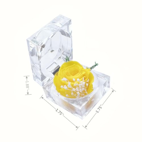 Preserved Yellow Real Rose in Clear Acrylic Ring Box for Gifts