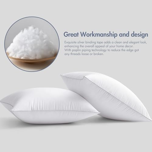 20x20 Inch Throw Pillow Inserts - Set of 2 Cotton Decorative Couch Pillows