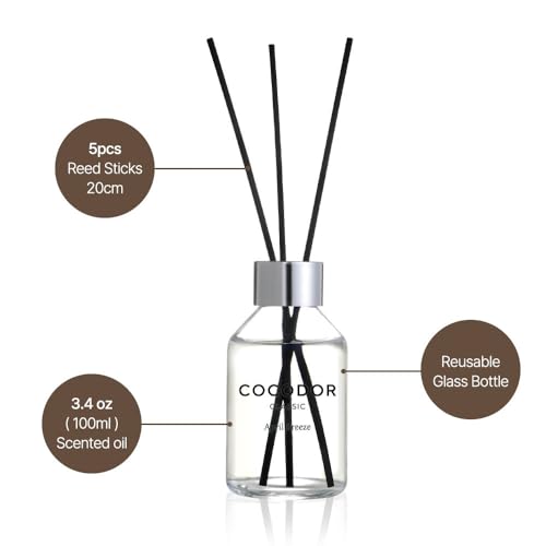 Cashmere Vanilla Reed Diffuser Set - 3.4 oz Home Fragrance with 5 Sticks