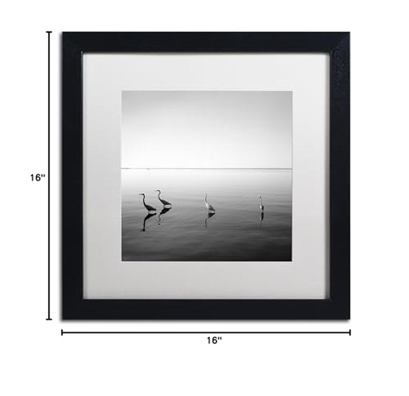 Trademark Fine Art 4 Herons by Moises Levy in White Matte and Black Framed Artwork, 16 by 16"