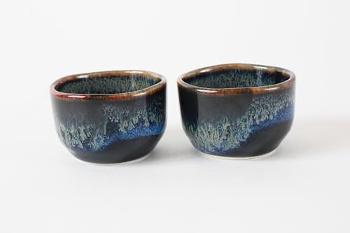 Japanese Mino Ware Sake Set - 1 Bottle & 2 Cups, Traditional Ceramic Drinkware