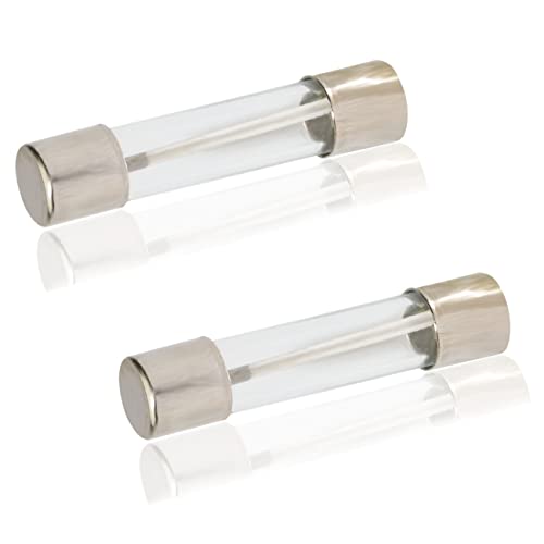 20A 125V Microwave Oven Replacement Fuse - 2 Pack