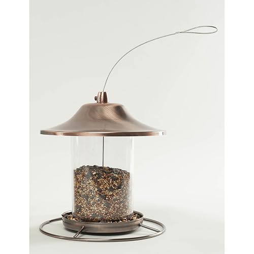 Wagner's 53002 Farmer's Delight Wild Bird Food with Cherry Flavor,
