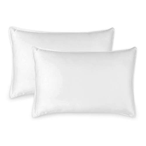 100% Organic Viscose Bamboo Queen Pillowcases, Cooling & Soft, 2-Piece Set