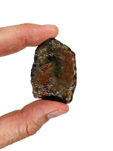 3 lbs Bulk Rough Agate, Jasper, and Petrified Wood Stone Mix, 1-2 Inch