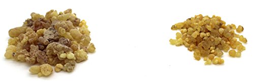 Pure Natural Frankincense Tree Sap Gum 1 lb - Ethiopian Incense Resin