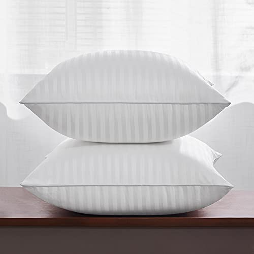 Oubonun 18x18 Throw Pillow Inserts Set of 2 - Fluffy Down Alternative Cushions