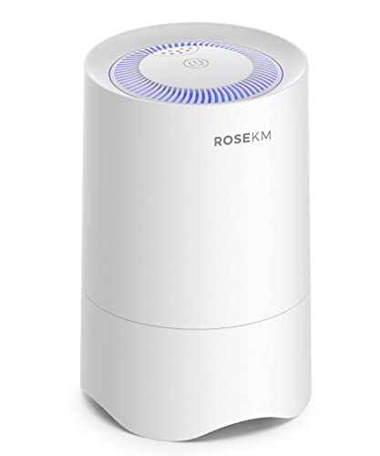 Small True HEPA Air Purifier for Home Bedroom with Aromatherapy Diffuser