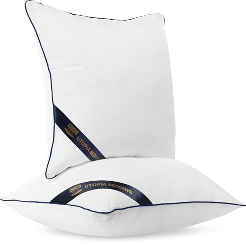 18x18 Throw Pillow Inserts (Set of 4) - Plush Cushion Sham Stuffers