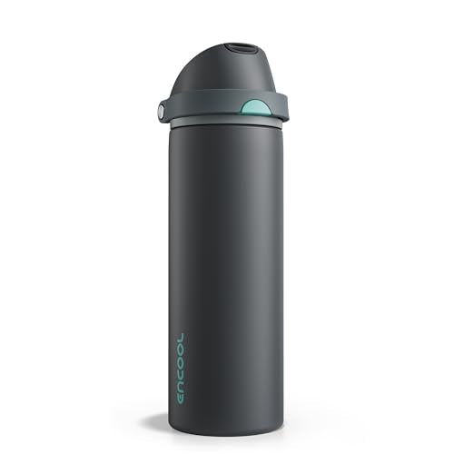 Insulated Stainless Steel Water Bottle with Straw and Lid 24 oz
