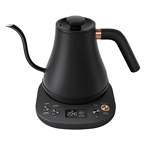 Electric Gooseneck Pour-Over Kettle, 0.8L Stainless Steel with Temp Control