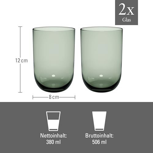 Villeroy & Boch Like Sage Highball/Tumbler Pair