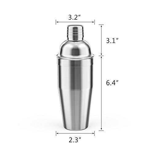 24oz Stainless Steel Cocktail Shaker with Built-in Strainer