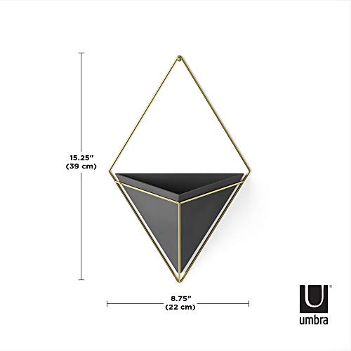 Umbra Trigg Hanging Planter Vase Wall Decor, Pot and Container for Succulents, Cactus, Faux Plants, and More, Large, Black/Brass