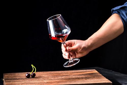 16-Ounce Acrylic Stemless Wine Glasses - Shatter-Resistant Set of 6