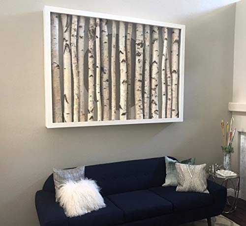 Natural White Birch Poles for Home Decor, 6 ft x 1-1.5 inch (3 Pack)