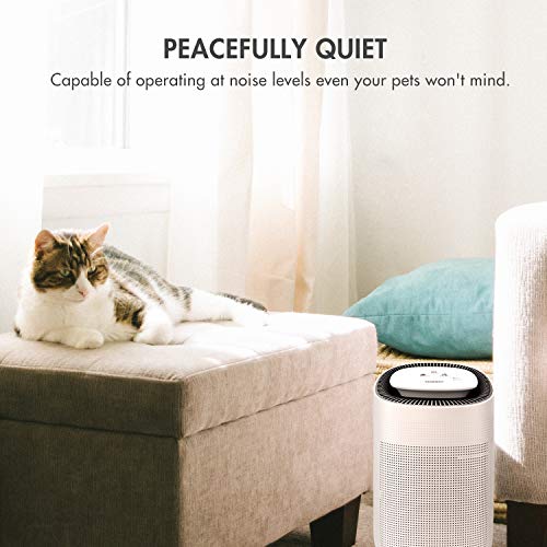 Compact 1000ml Air Dehumidifier with True HEPA Air Purifier and Auto Shutoff