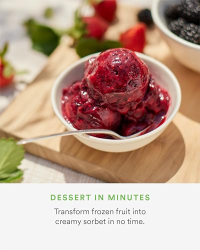 NAMA Sorbet Attachment for J2 Juicer - Homemade Frozen Fruit & Dairy Treats