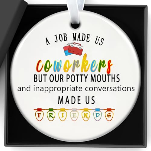Zeptrix Christmas Ornaments 2026 – Coworkers Appreciation Gift, Funny Office Tree Decor, Thank You Gift