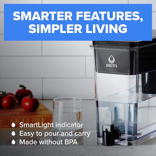 27-Cup Water Dispenser with Standard Filter - BPA-Free Fridge Purifier (Gray)
