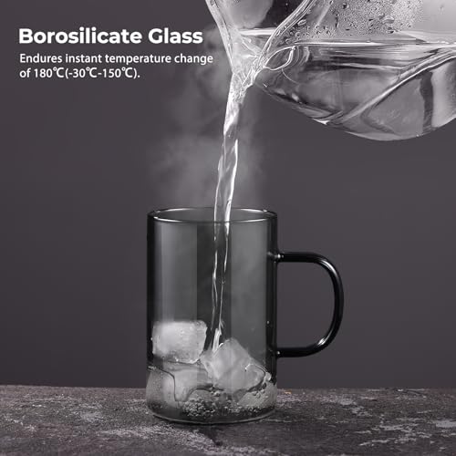 Ecooe 16.9oz Borosilicate Glass Tea Cup with Infuser & Lid - Black 430ml