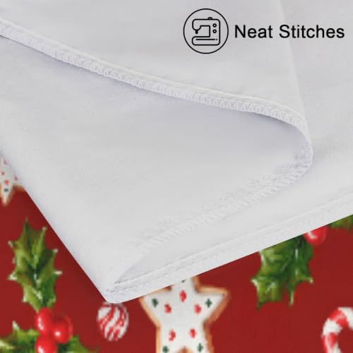 Christmas Satin Silk Pillowcase for Hair and Skin Queen Size – YoYoYuchong (B Candy Cane Berry 30 x 20)