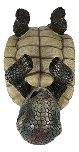 Sea Turtle Wine Bottle Holder - Nautical Decor for Kitchen & Bar