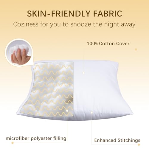 OKBA 22x22 Throw Pillow Inserts Set of 2, 100% Cotton Cover White Decorative