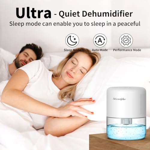 Small Portable Dehumidifier for Home with 44oz Tank and Auto Shut-off