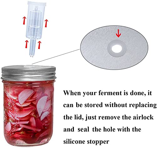 Fermentation Kit 6 Set with Stainless Steel Wide Mouth Lids and Airlocks