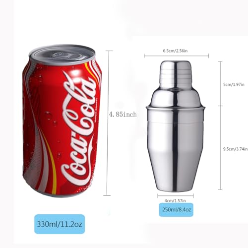 Delidge 8oz (250ml) Cocktail Shaker - Mini Martini Barware, Leakproof Stainless Steel