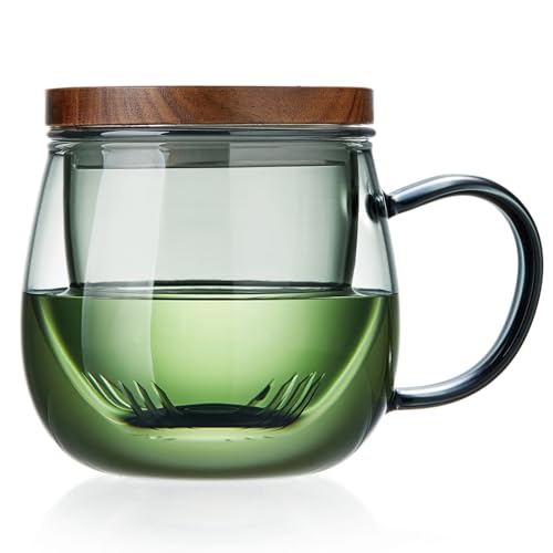 DOPUDO 17 oz Glass Teacup with Infuser and Lid, Borosilicate Tea Mug 500 ml