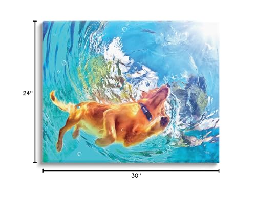 Stupell Industries Dog Swimming Underwater Canvas Wall Art Design by Masey St. Studios