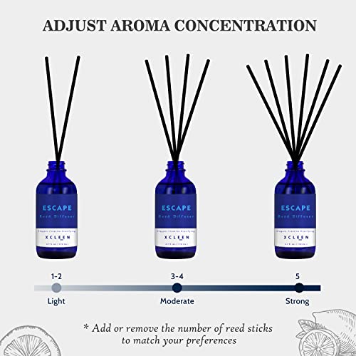 Aromatherapy Reed Diffuser Set with 6 Rattan Sticks - 3.7 oz (110ml)