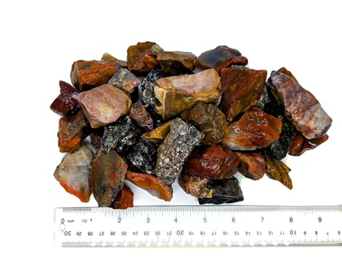 3 lbs Bulk Rough Agate, Jasper, and Petrified Wood Stone Mix, 1-2 Inch