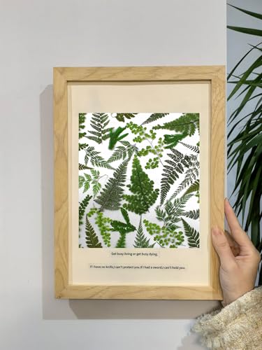 55 Pcs Real Pressed Dried Ferns and Leaves for Resin Jewelry and Crafts