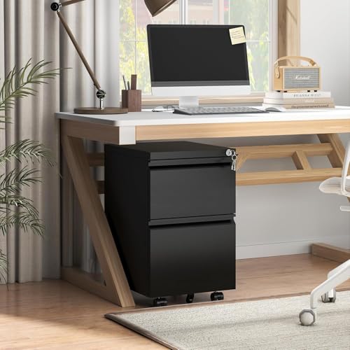 2-Drawer Locking File Cabinet, Heavy-Duty Metal Rolling Office Storage